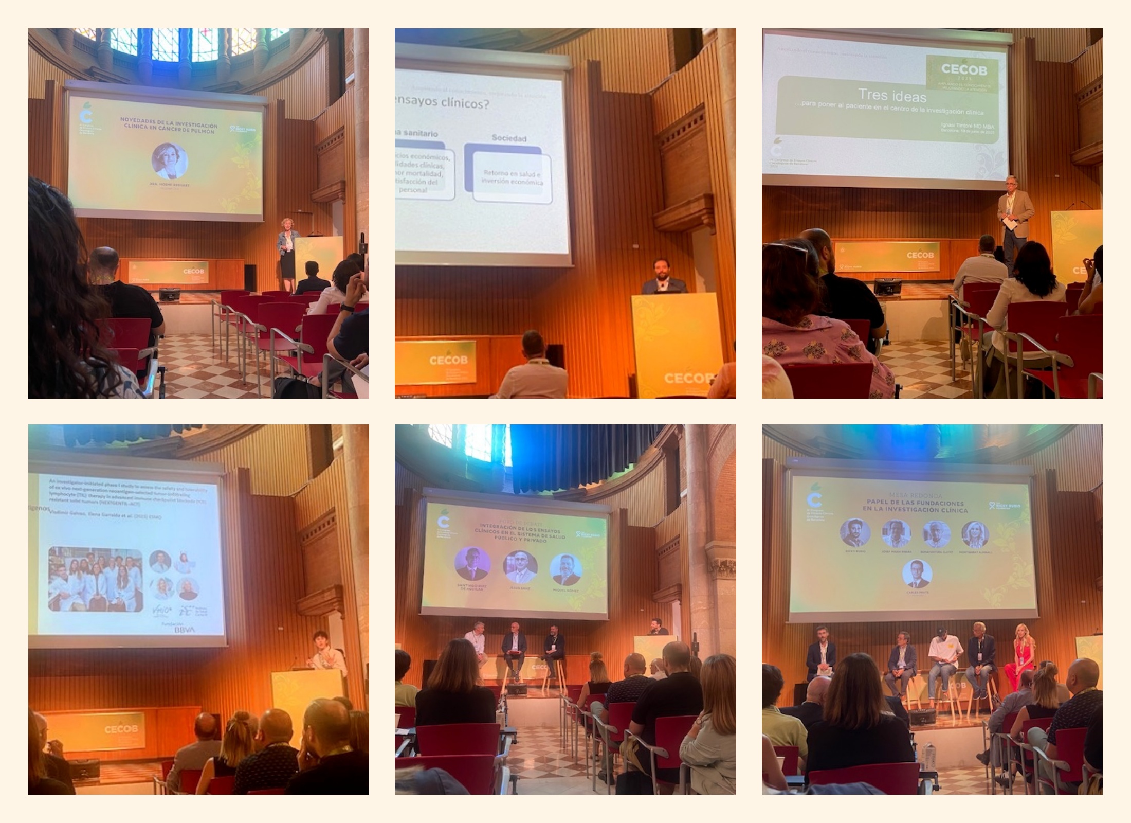 Collage CECOB 2025 | IEC